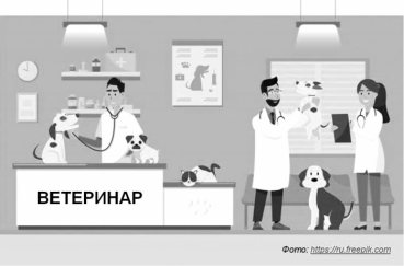 Ветеринарлар тууралуу